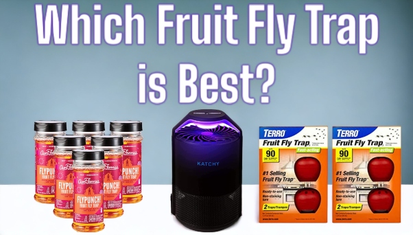 How To Get Rid Of Fruit Flies With Fruit Fly Traps 